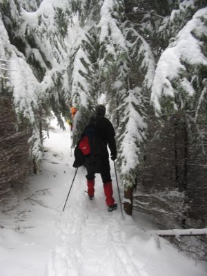 Kliknite za ogled večje slike
