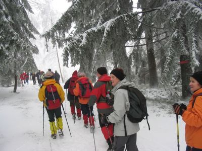 Kliknite za ogled večje slike