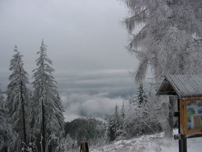 Kliknite za ogled večje slike