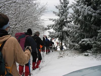 Kliknite za ogled večje slike
