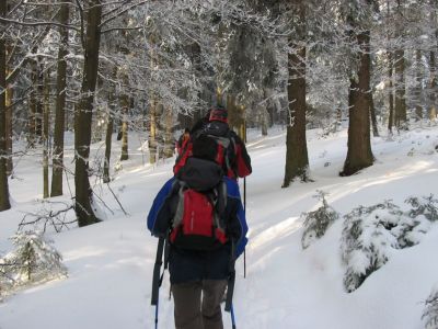 Kliknite za ogled večje slike