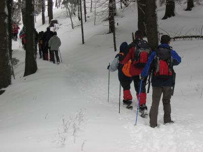 Kliknite za ogled večje slike
