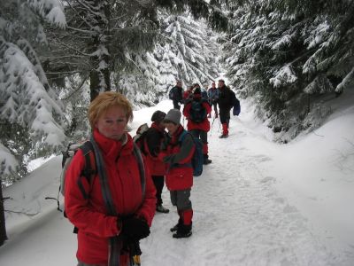 Kliknite za ogled večje slike