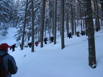 Kliknite za ogled večje slike
