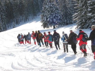 Kliknite za ogled večje slike