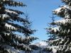 eKoroska4Smrekovec170109_023a.jpg