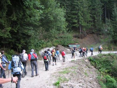 Kliknite za ogled večje slike