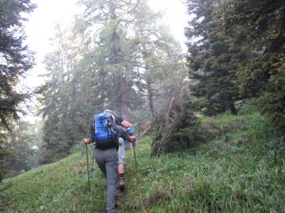 Kliknite za ogled večje slike