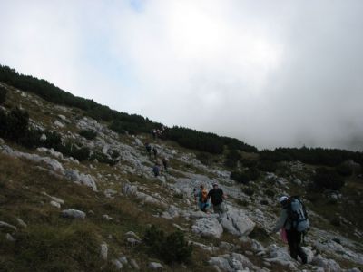 Kliknite za ogled večje slike