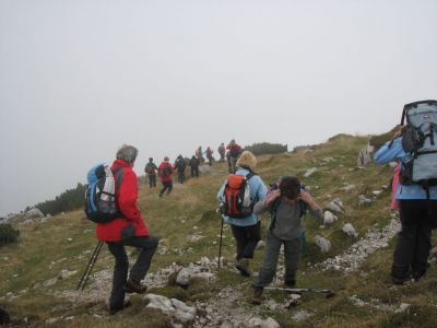 Kliknite za ogled večje slike