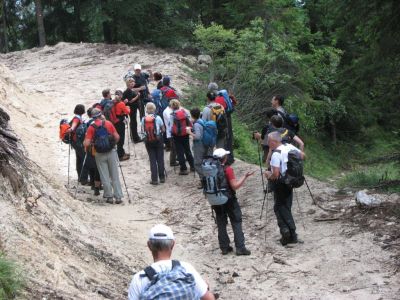 Kliknite za ogled večje slike