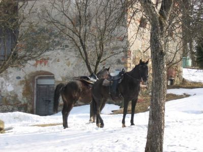 Kliknite za ogled večje slike