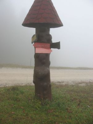 Kliknite za ogled večje slike