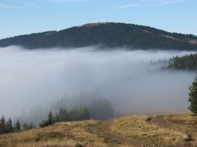 Kliknite za ogled večje slike