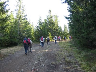 Kliknite za ogled večje slike
