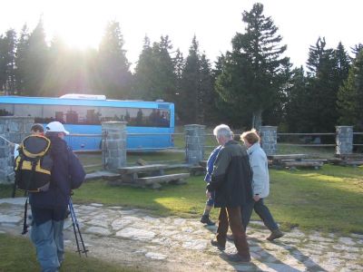 Kliknite za ogled večje slike