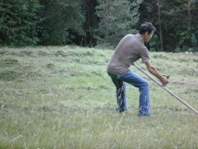 Kliknite za ogled večje slike
