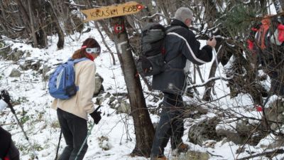 Kliknite za ogled večje slike