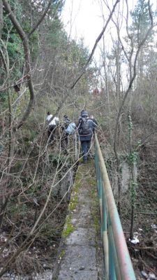 Kliknite za ogled večje slike