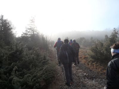 Kliknite za ogled večje slike