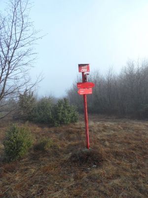 Kliknite za ogled večje slike