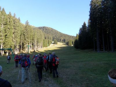 Kliknite za ogled večje slike