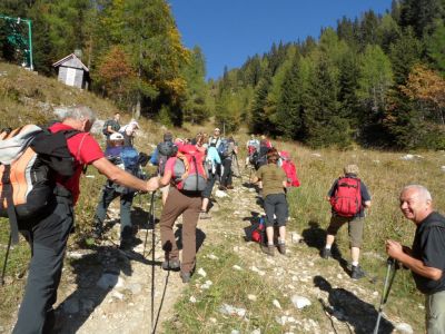 Kliknite za ogled večje slike