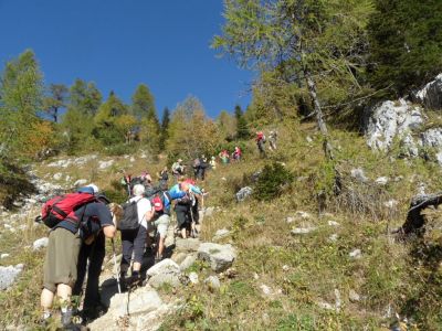 Kliknite za ogled večje slike