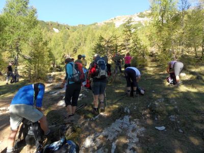 Kliknite za ogled večje slike