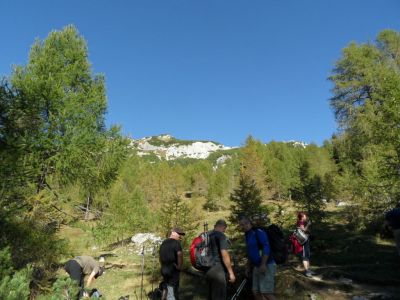 Kliknite za ogled večje slike