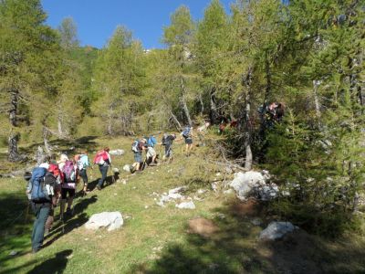 Kliknite za ogled večje slike