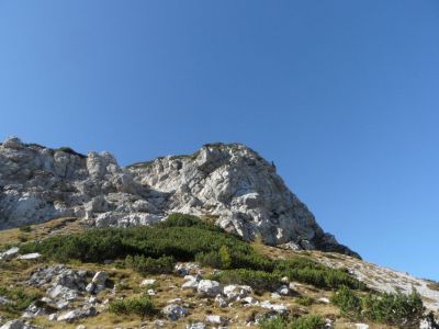 Kliknite za ogled večje slike