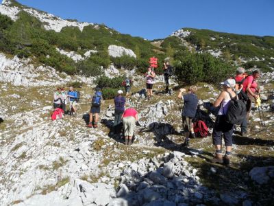 Kliknite za ogled večje slike