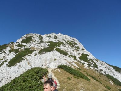 Kliknite za ogled večje slike