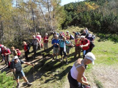 Kliknite za ogled večje slike
