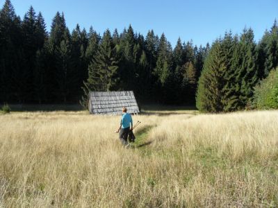 Kliknite za ogled večje slike