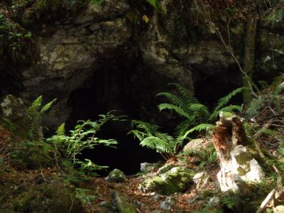 Kliknite za ogled večje slike