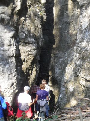 Kliknite za ogled večje slike
