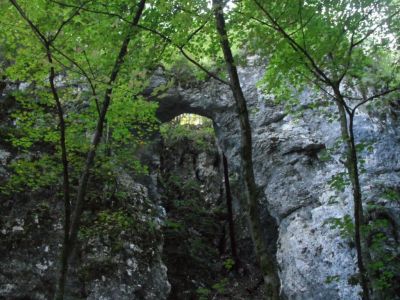 Kliknite za ogled večje slike