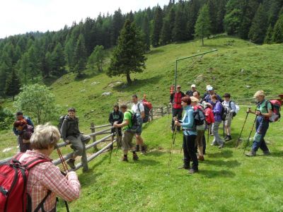 Kliknite za ogled večje slike