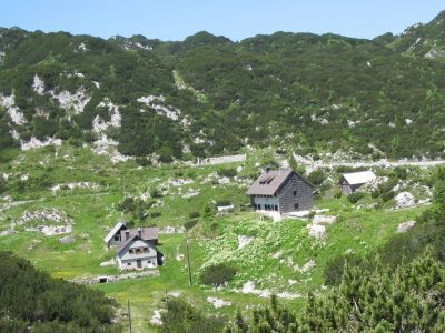 Kliknite za ogled večje slike