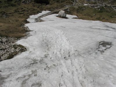 Kliknite za ogled večje slike