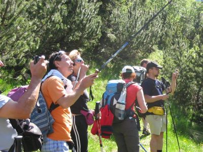 Kliknite za ogled večje slike