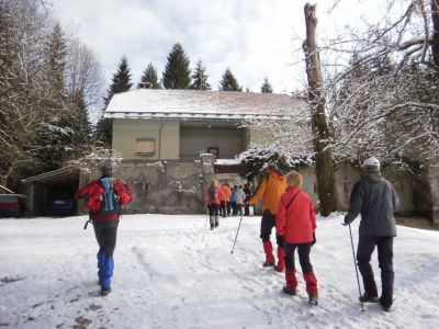Kliknite za ogled večje slike
