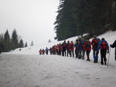 Kliknite za ogled večje slike