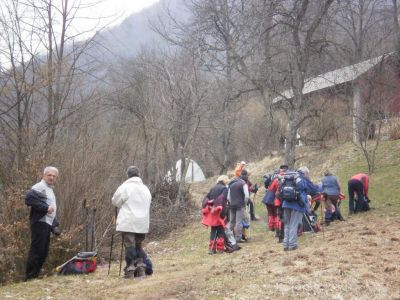 Kliknite za ogled večje slike