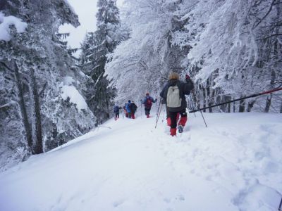 Kliknite za ogled večje slike