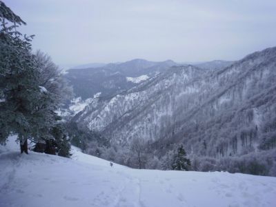 Kliknite za ogled večje slike