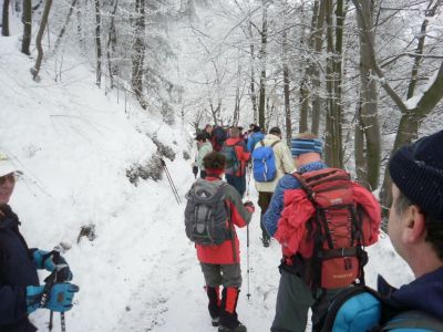 Kliknite za ogled večje slike
