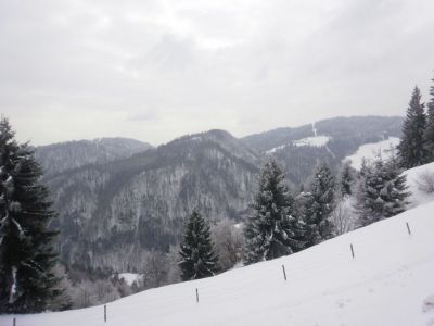Kliknite za ogled večje slike